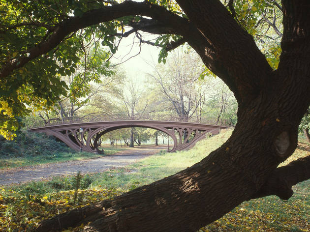 Gothic Bridge