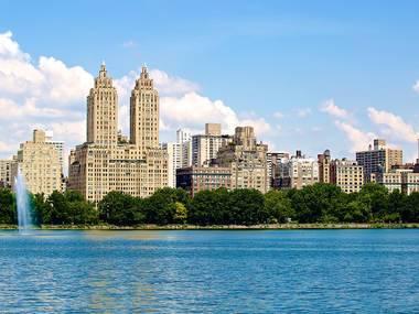 Central park in summer, see all the beautiful photos