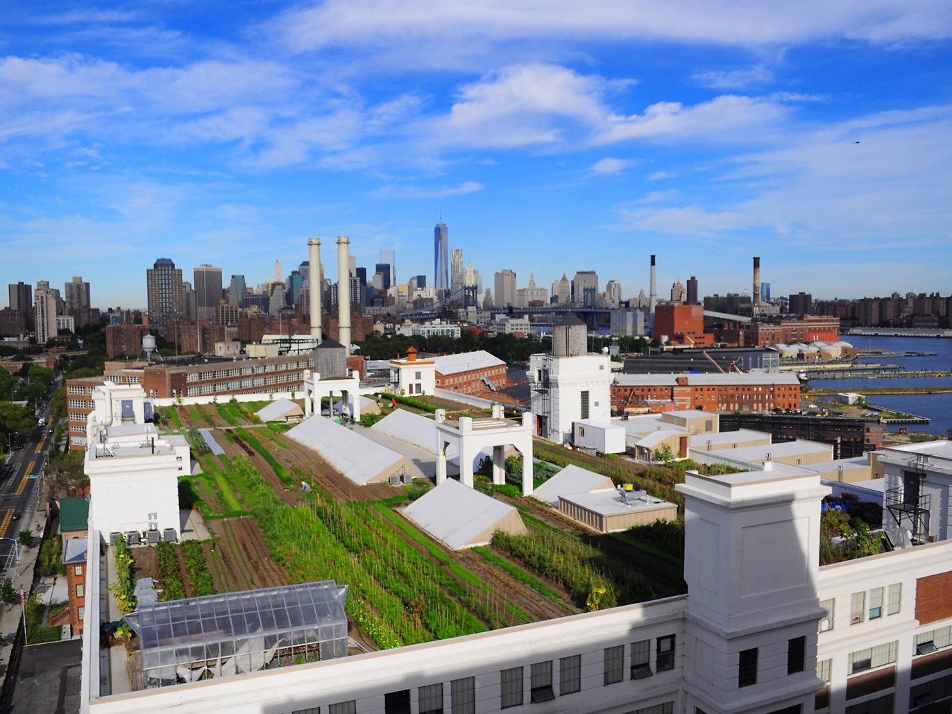 Best rooftop gardens and urban farms in NYC including Gallow Green