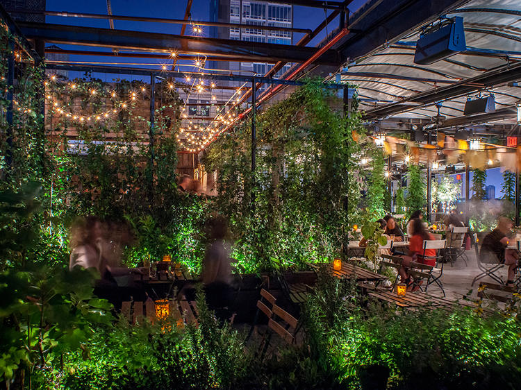 The best rooftop gardens and urban farms in NYC