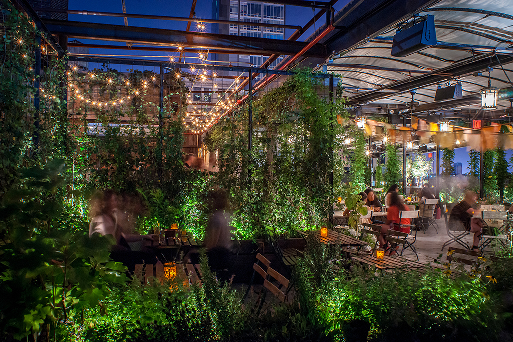 Best rooftop gardens and urban farms in NYC including Gallow Green