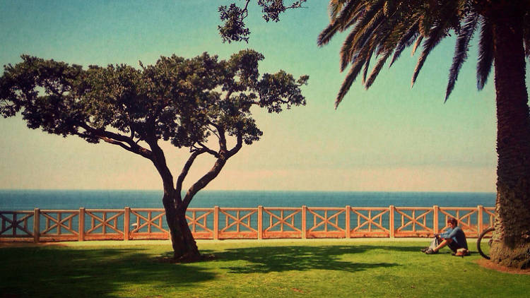 17 essential Santa Monica attractions