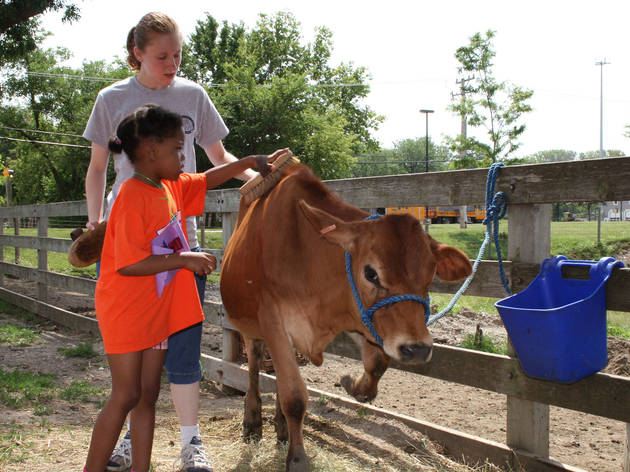 Historic Wagner Farm Things To Do In Suburbs Chicago