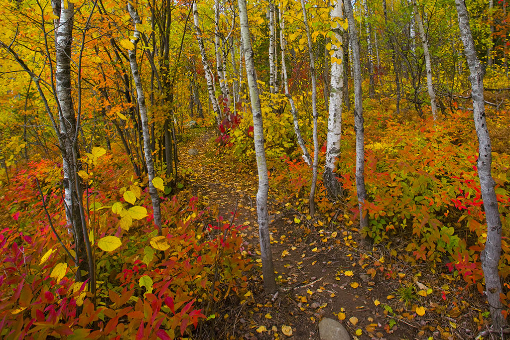 The best hiking trails in America from coastal paths to a Grand Canyon trek