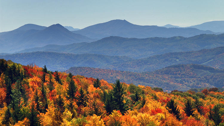 Virginia: Climb Mount Rogers