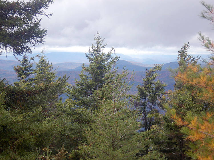 Tongue Mountain Loop | NY