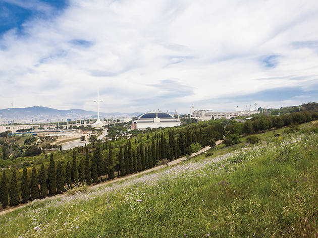 Pícnic a Montjuïc Pícnic a Montjuïc