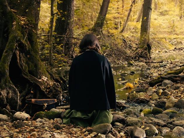 The Duke of Burgundy - Peter Strickland The Duke of Burgundy - Peter Strickland
