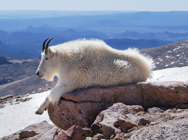Mount Evans Mount Evans
