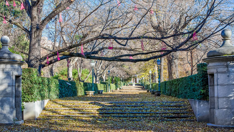 Real Jardín Botánico