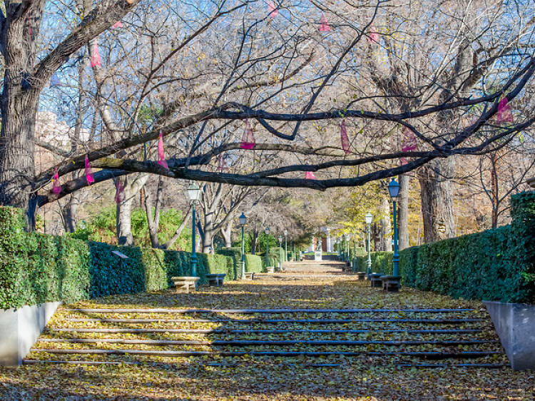 Real Jardín Botánico