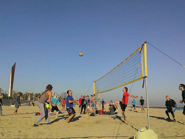 Beach Warriors Beach Warriors