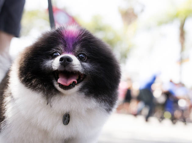 LA Pride Parade 2015