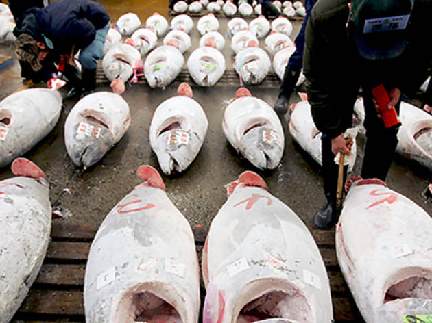Tsukiji wholesale market in Tokyo Tsukiji wholesale market in Tokyo