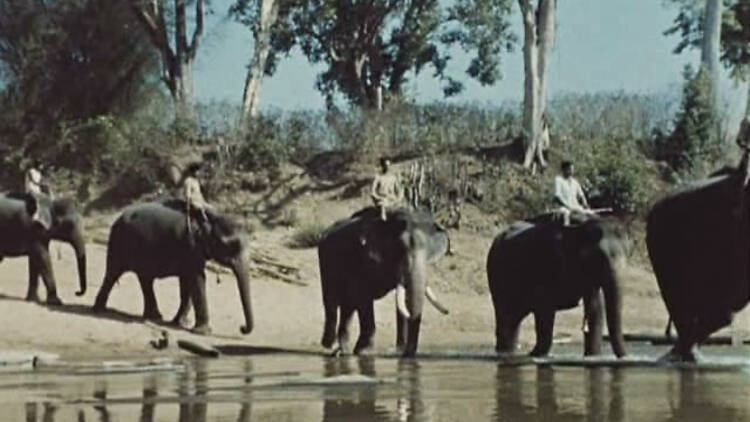 India