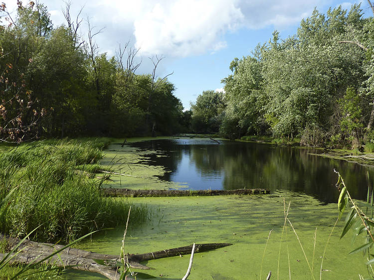 Des Plaines River Trail