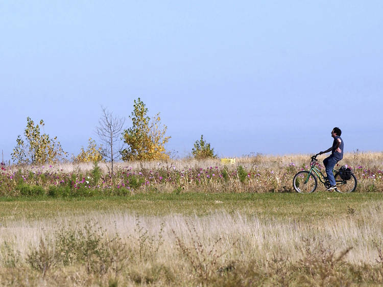 Northerly Island