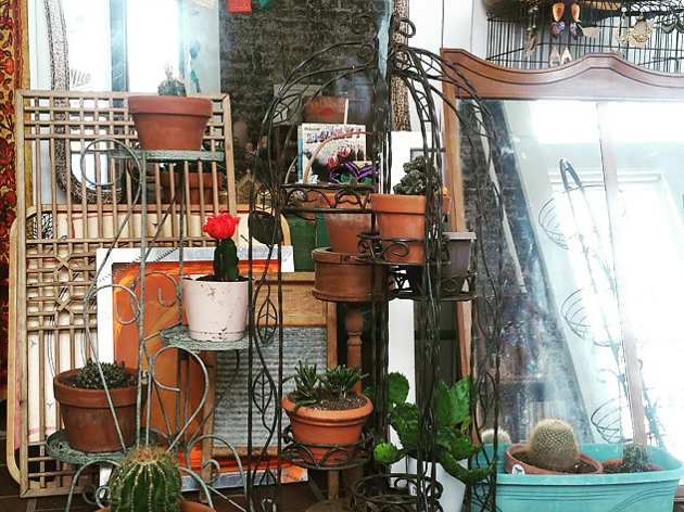 Zingara Vintage Zingara Vintage