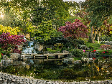 13 Beautiful London Parks For Autumn Walks