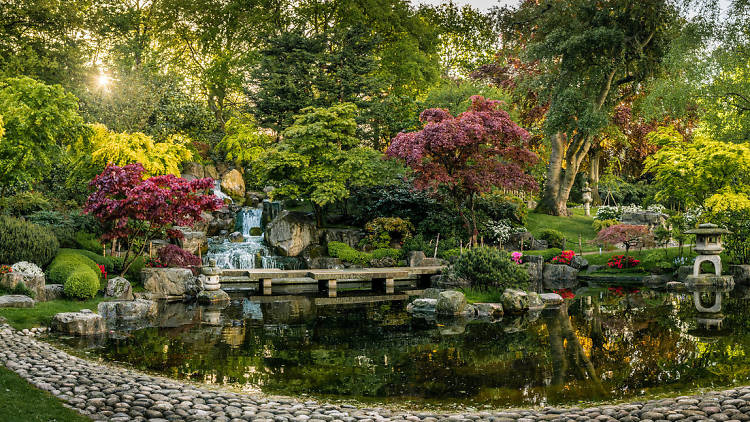 Discover the Kyoto Garden in Holland Park