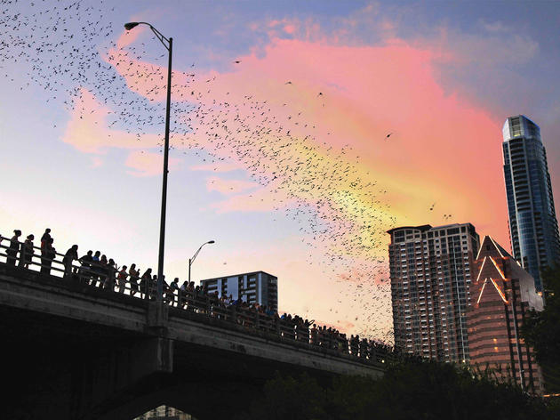 The 29 best things to do in Austin The 29 best things to do in Austin