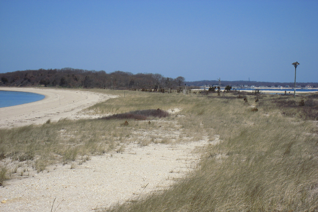 Elizabeth A. Morton National Wildlife Refuge, Sag Harbor