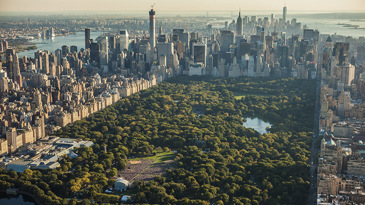 13 great photos of New York from above the city streets