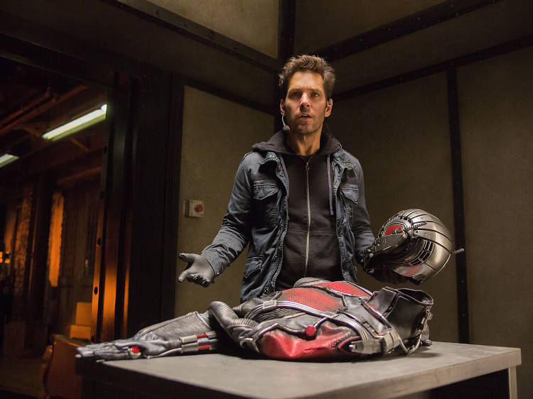 Entrevista a Paul Rudd, o Homem-Formiga do novo filme da Marvel