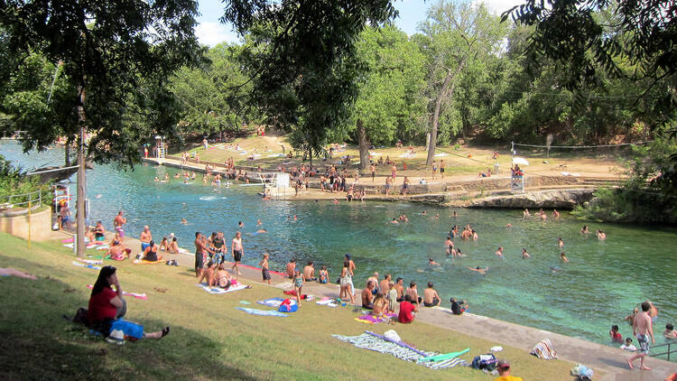 Dive into Barton Springs Pool