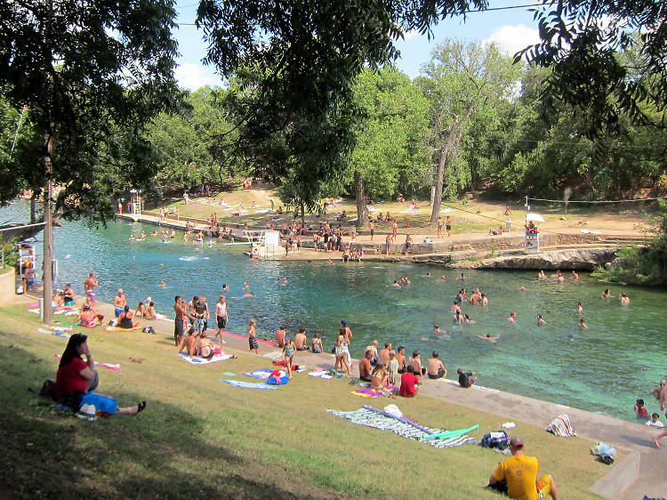 Dive into Barton Springs Pool