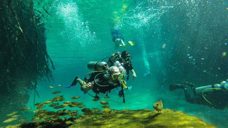 Explorer les fonds marins 