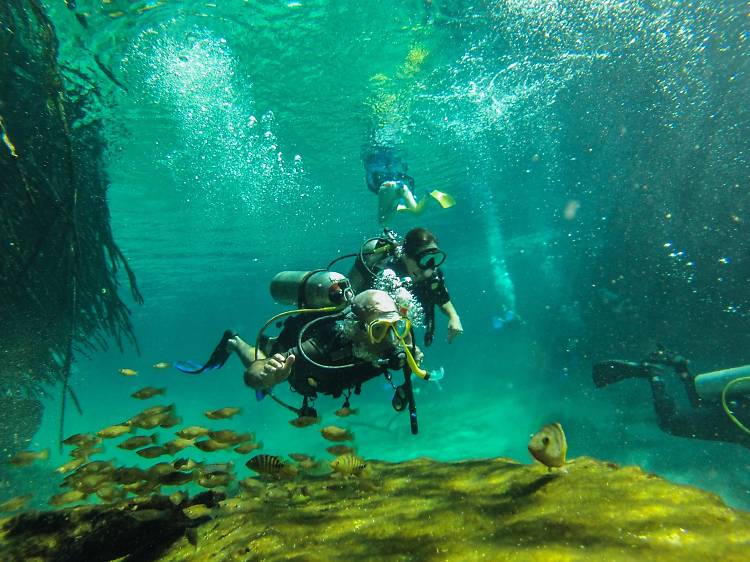 Explorer les fonds marins 