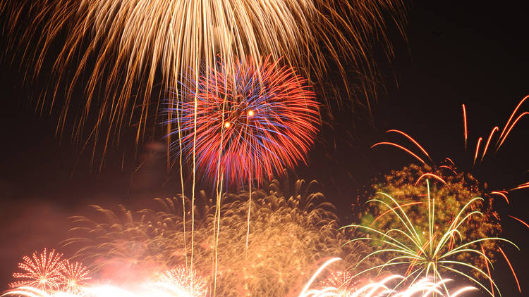 Tachikawa Showa Kinen Park Fireworks