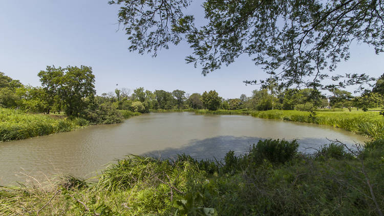 Douglass (Frederick and Anna) Park