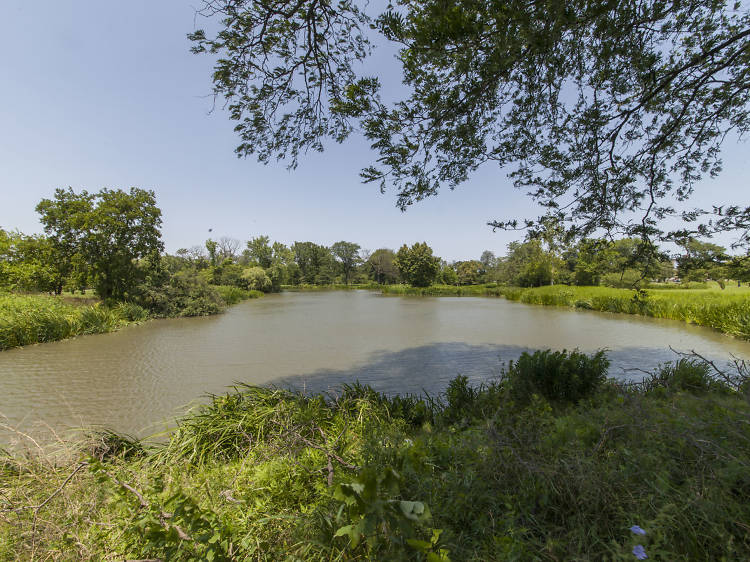 Douglass (Frederick and Anna) Park