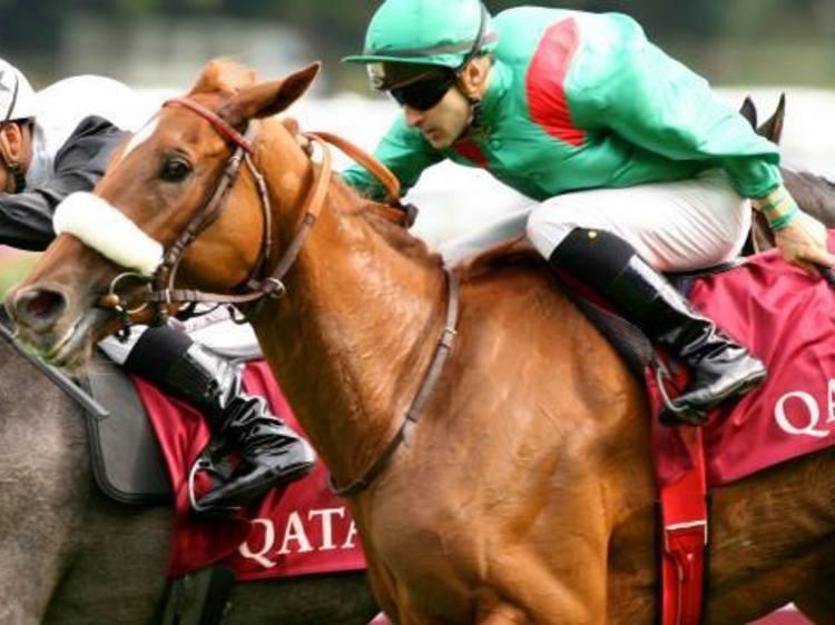 Get an adrenaline rush at Qatar Prix de L’Arc de Triomphe 2017