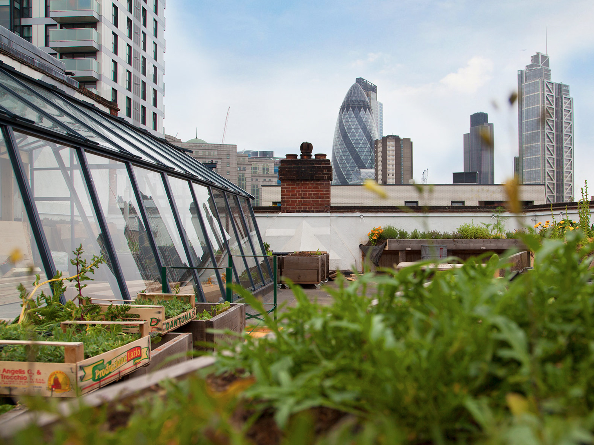 Culpeper Roof Garden Bars and pubs in Whitechapel, London