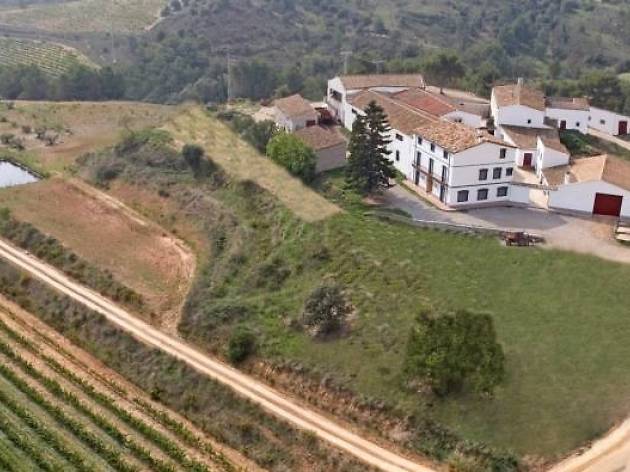 Un paseo en 4x4 y un brunch entre viñas Un paseo en 4x4 y un brunch entre viñas