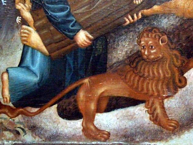 Descubre los animales que esconde el Museo de Lleida Descubre los animales que esconde el Museo de Lleida