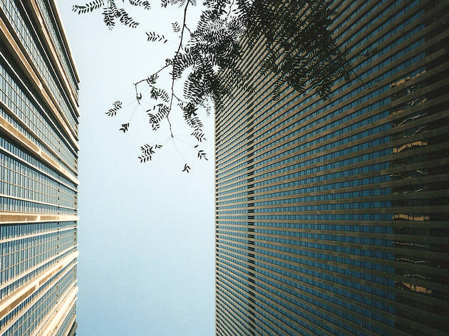Looking up in Murray Hill, 1996 Looking up in Murray Hill, 1996
