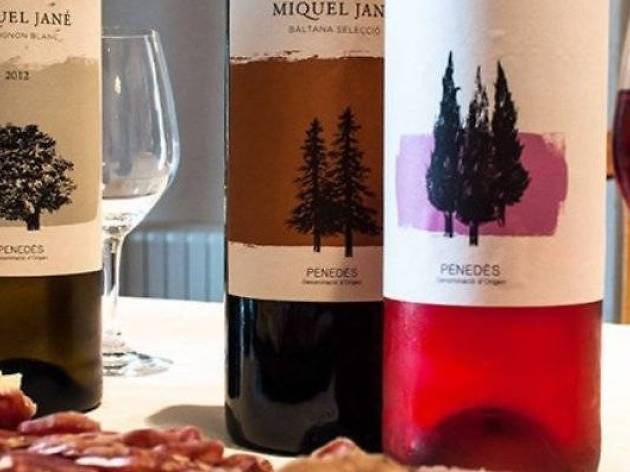 ¿Eres un apasionado de los vinos? ¿Eres un apasionado de los vinos?