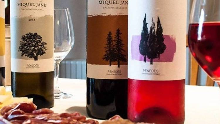 ¿Eres un apasionado de los vinos?