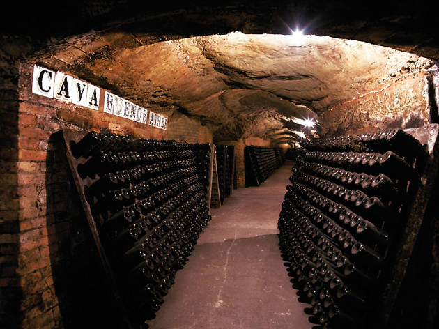 Viaje a los orígenes del cava Codorniu Viaje a los orígenes del cava Codorniu