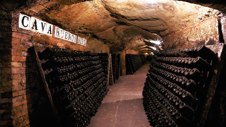 Viaje a los orígenes del cava Codorniu