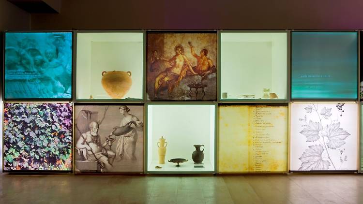 Visita al VINSEUM