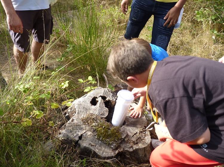 Portalcaching: hunting for treasure in Montseny