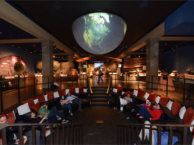 Spend a night at the museum with the American Museum of Natural History’s grown-up sleepovers Spend a night at the museum with the American Museum of Natural History’s grown-up sleepovers