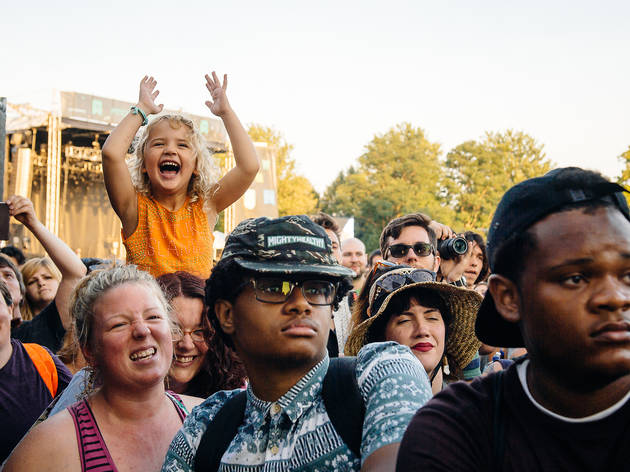The fields of Union Park were packed with music lovers on Saturday at Pitchfork Music Festival, July 18, 2015.