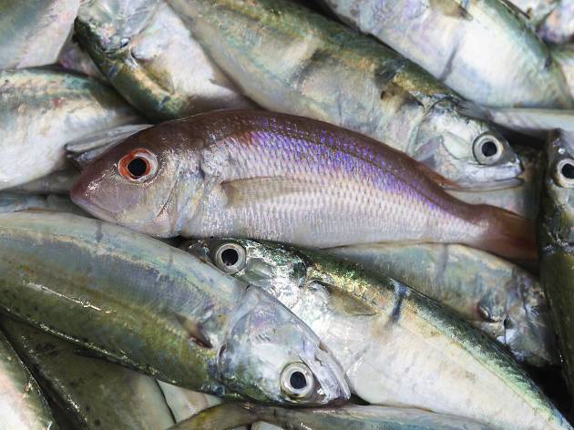 Little Fish Market Little Fish Market
