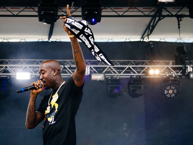 Madlib & Freddie Gibbs played to a sold out crowd under stormy skies on Sunday at Pitchfork Music Festival, July 19, 2015.